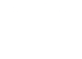 SEES Inc