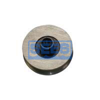 Hanger Roller with Collar
